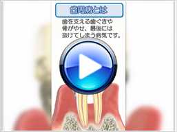 歯科向け縦型サンプル01