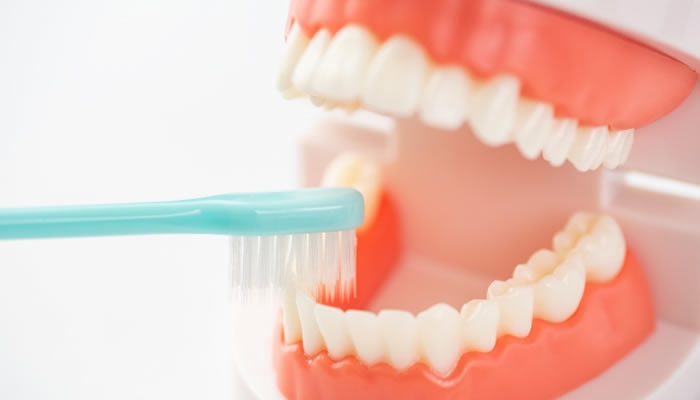 歯科・デンタルクリニック